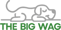 The Big Wag logo
