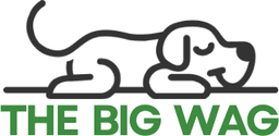 The Big Wag logo
